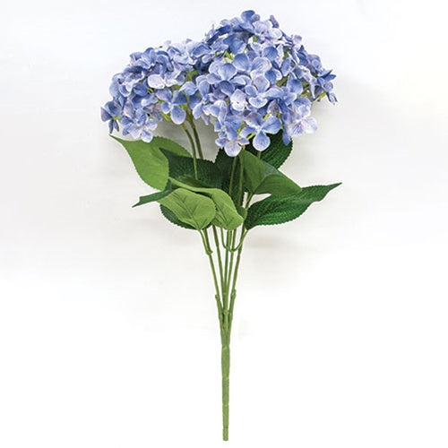 Blue Hydrangea Bush Pick