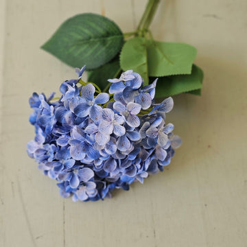Blue Hydrangea Bush Pick
