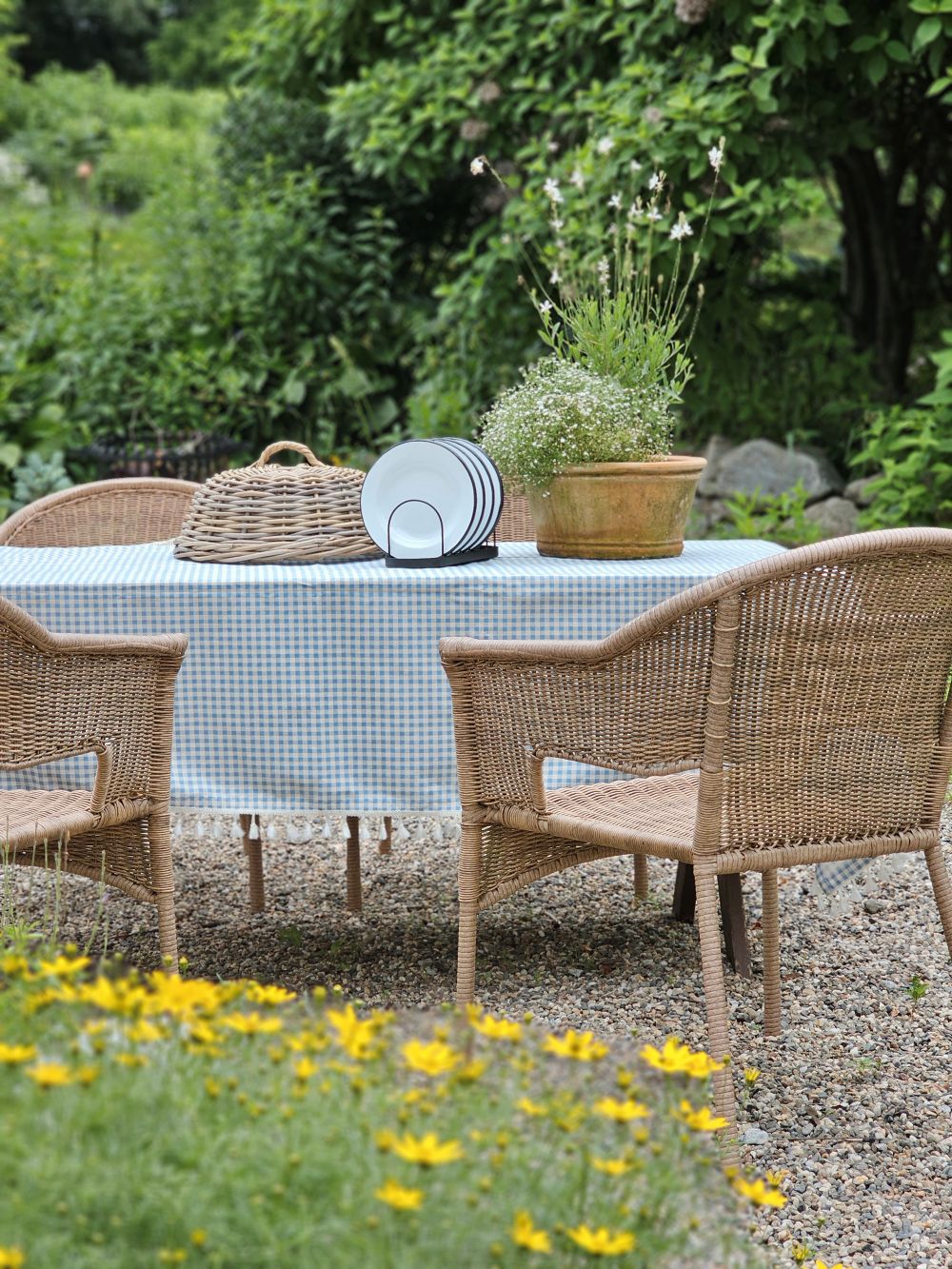 Wicker Food Cover Cloche