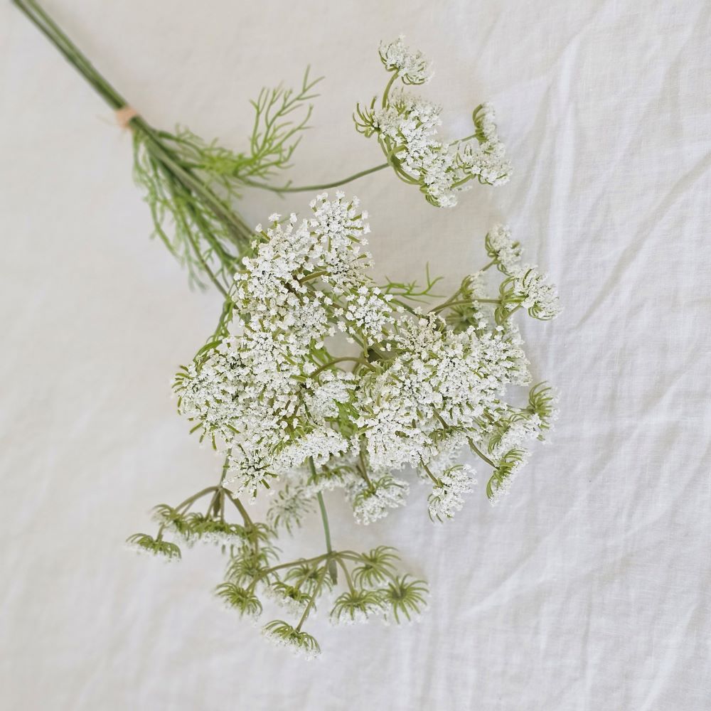 Queen Anne's Lace Flower Bundle