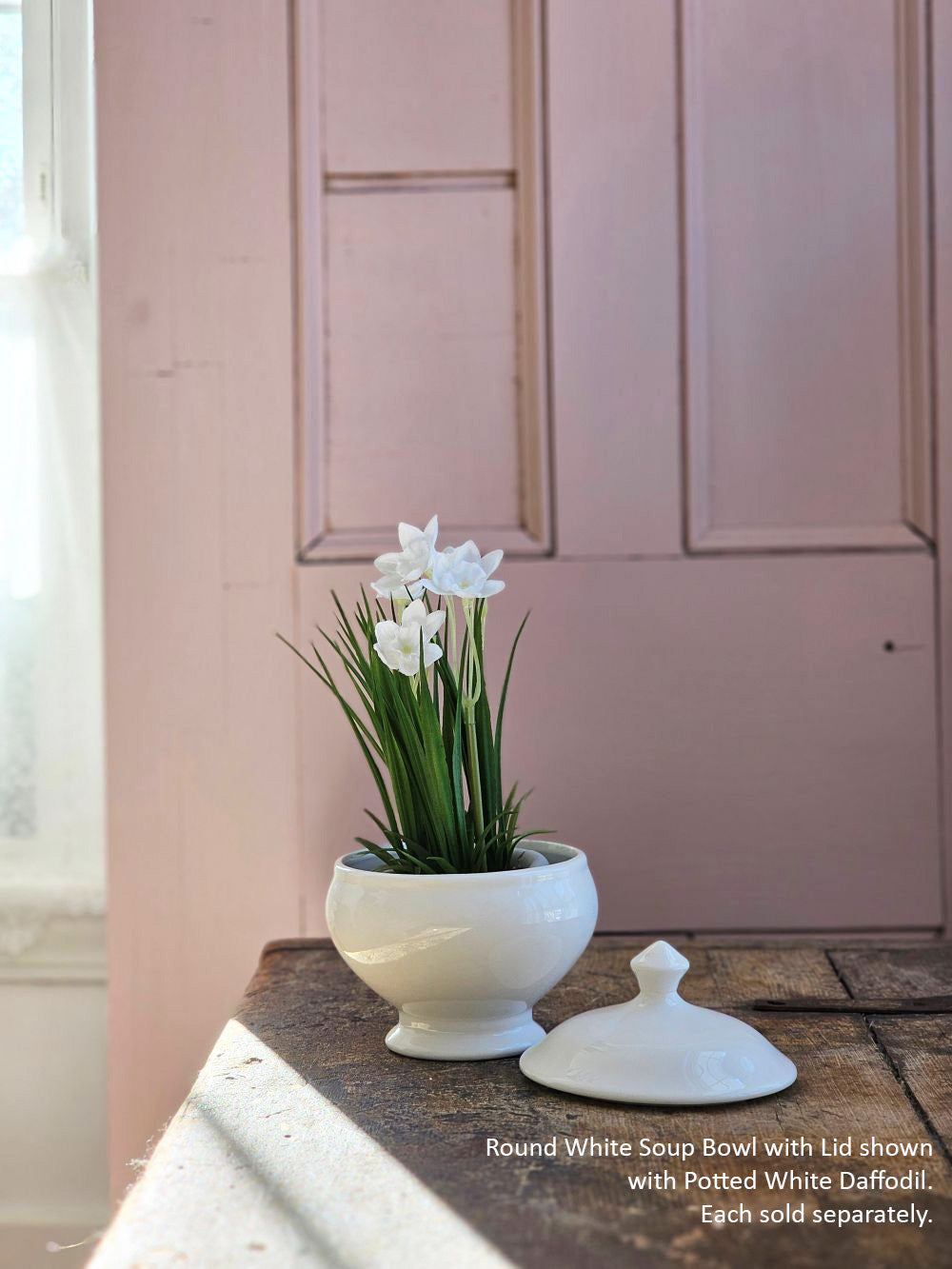 Potted White Daffodils