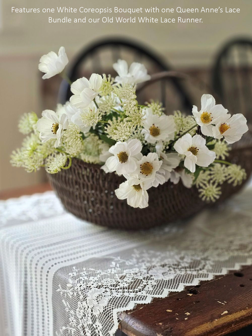Queen Anne's Lace Flower Bundle