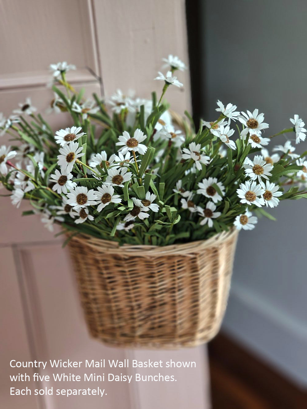White Mini Daisy Bush