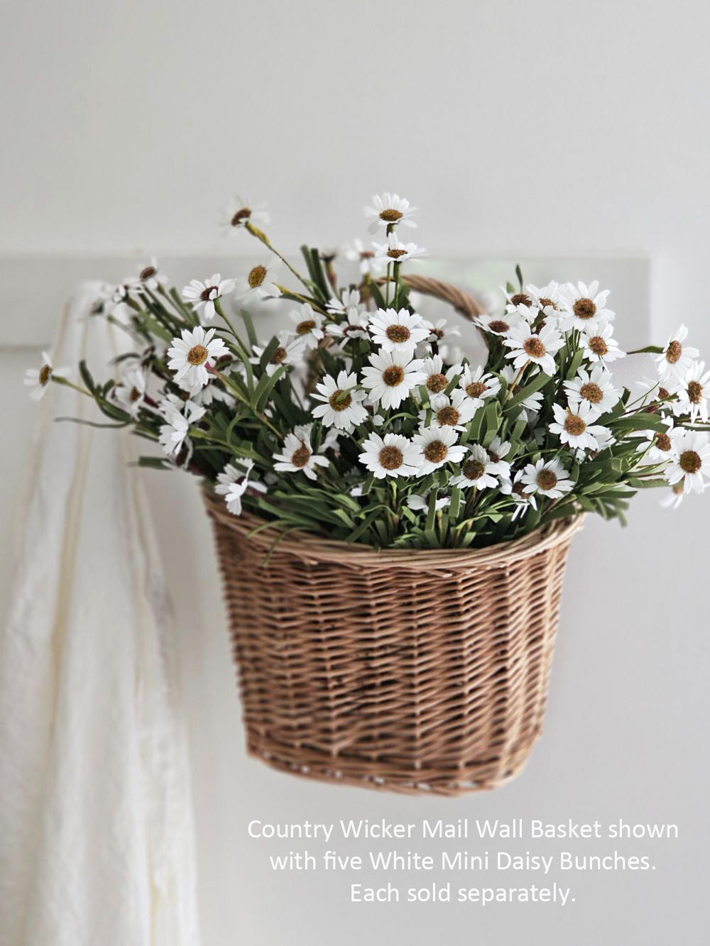 White Mini Daisy Bush