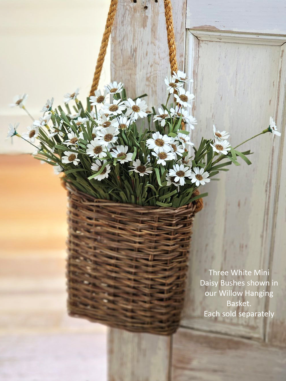 White Mini Daisy Bush