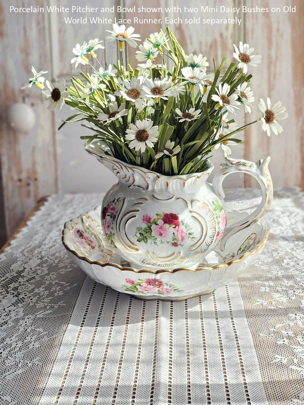 White Mini Daisy Bush