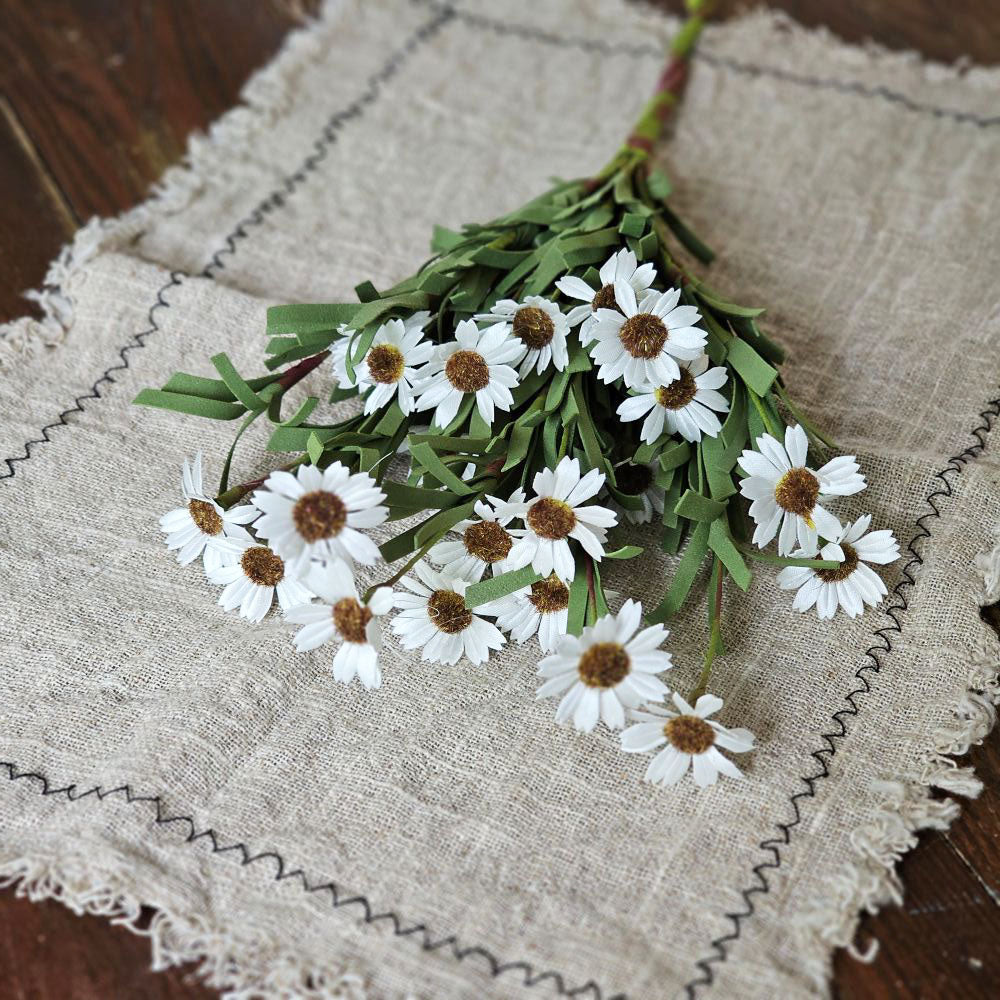 White Mini Daisy Bush