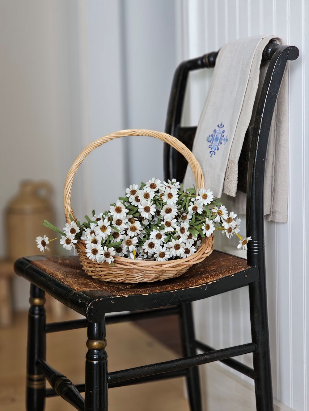 White Mini Daisy Bush