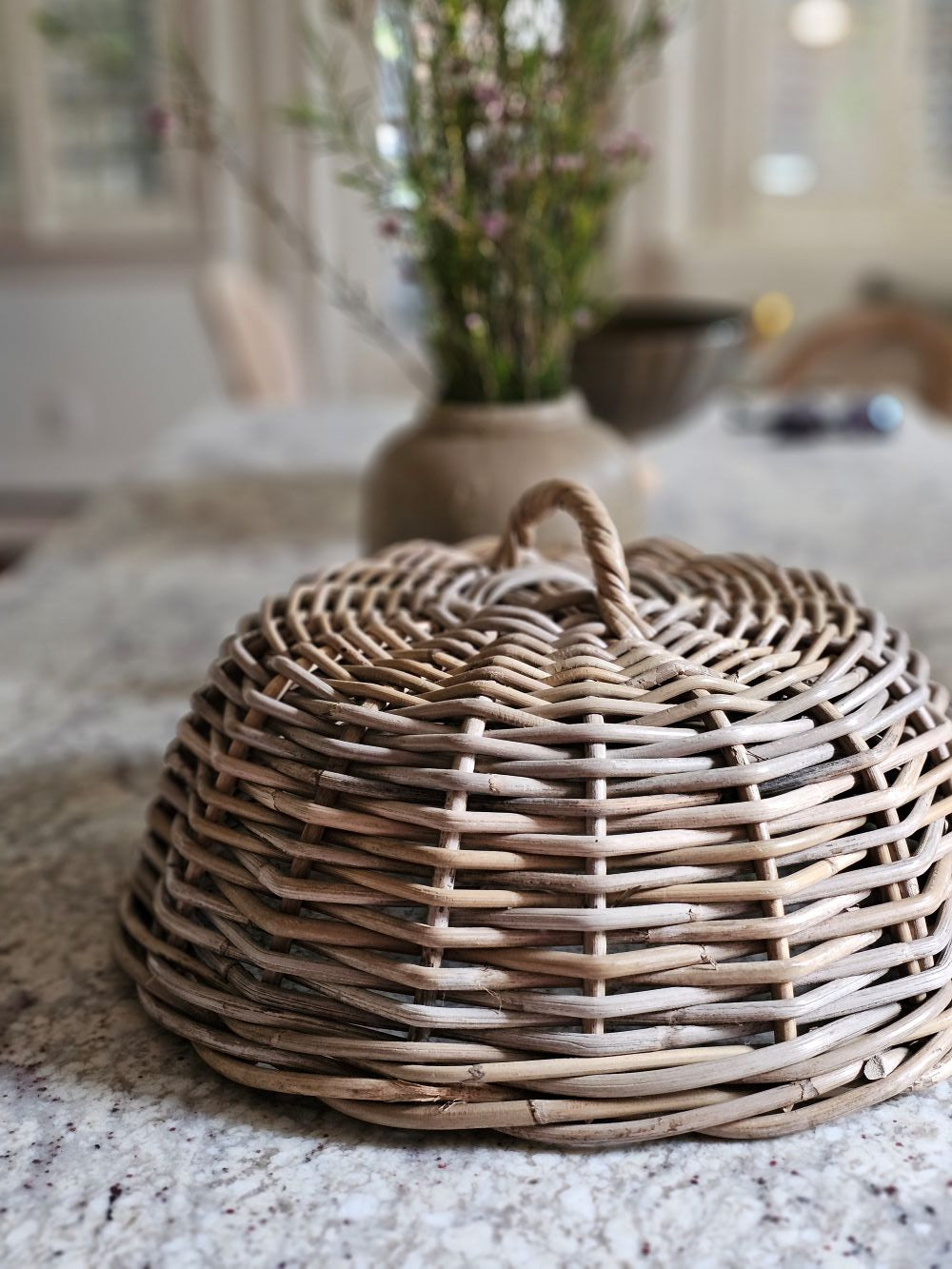 Wicker Food Cover Cloche