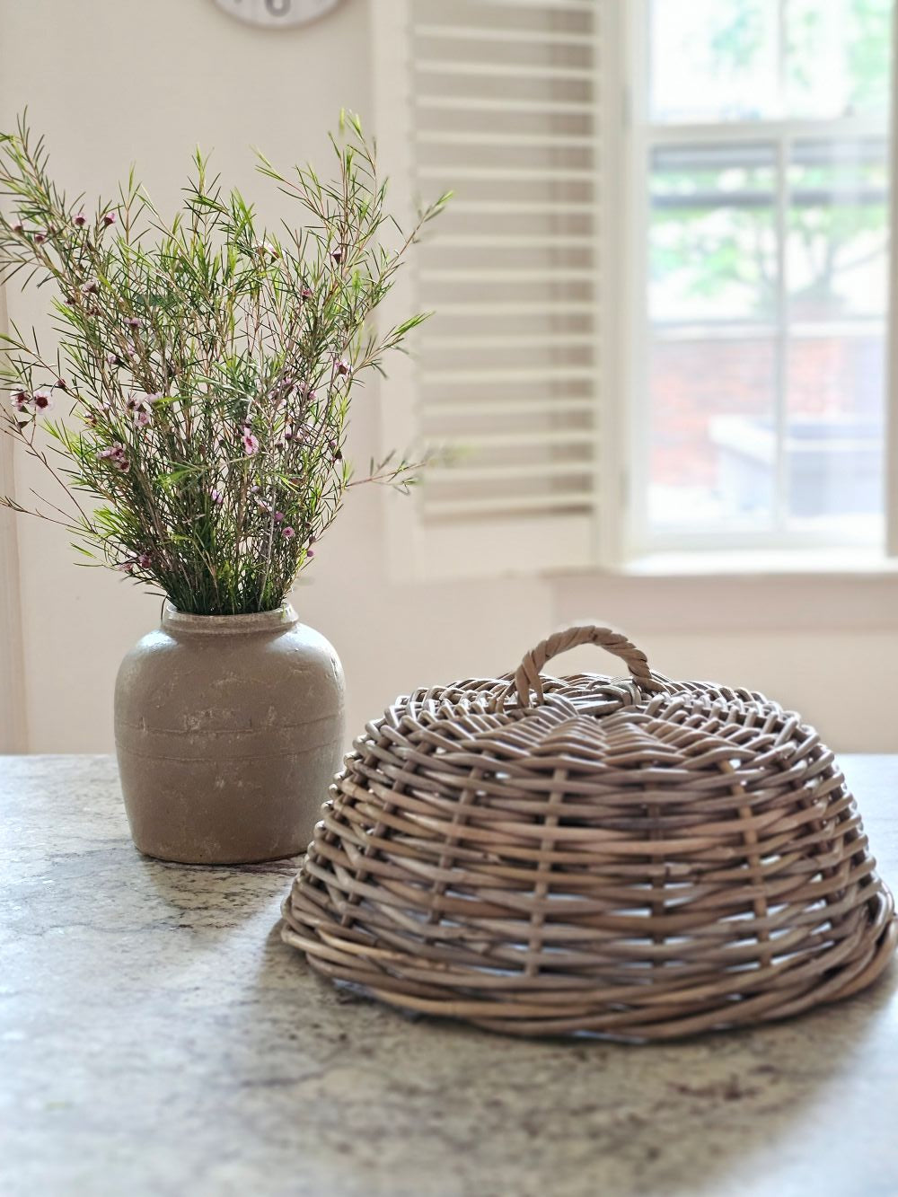 Wicker Food Cover Cloche