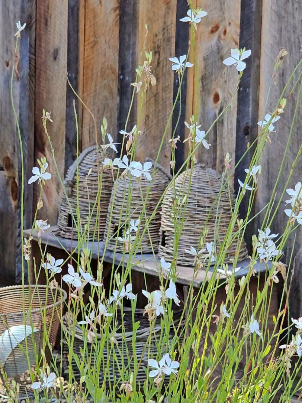 Willow Bee Skep