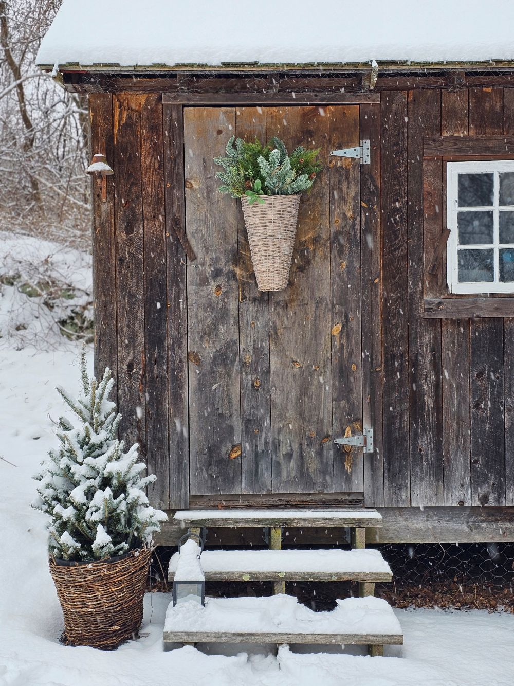 Icy Hemlock and Pine Pick